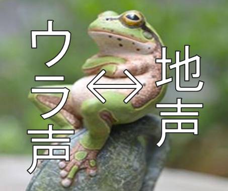 歌声に差をつける 1分でできる ヨーデル のトレーニング方法 R Voice 東京都王子駅のボイトレ 声楽 ギター弾き語り教室